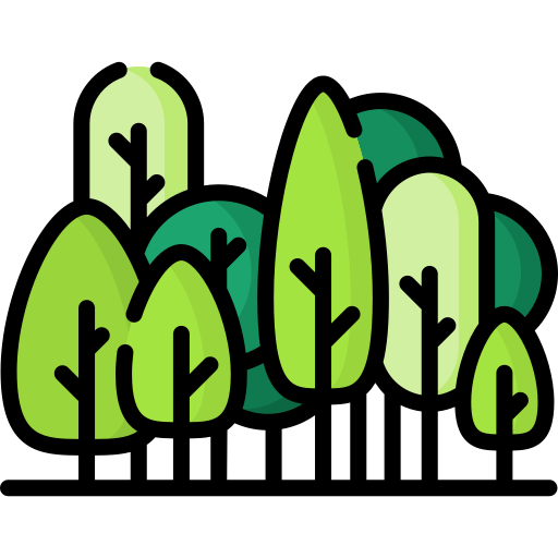 Forestazione urbana