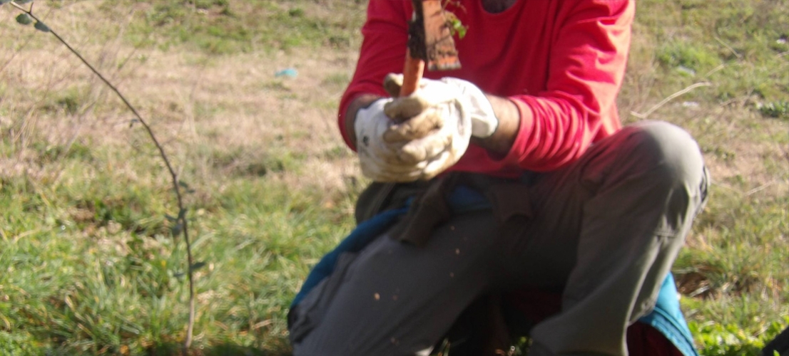 A Bastogi 30 nuovi alberi contro la speculazione: il verde non si tocca