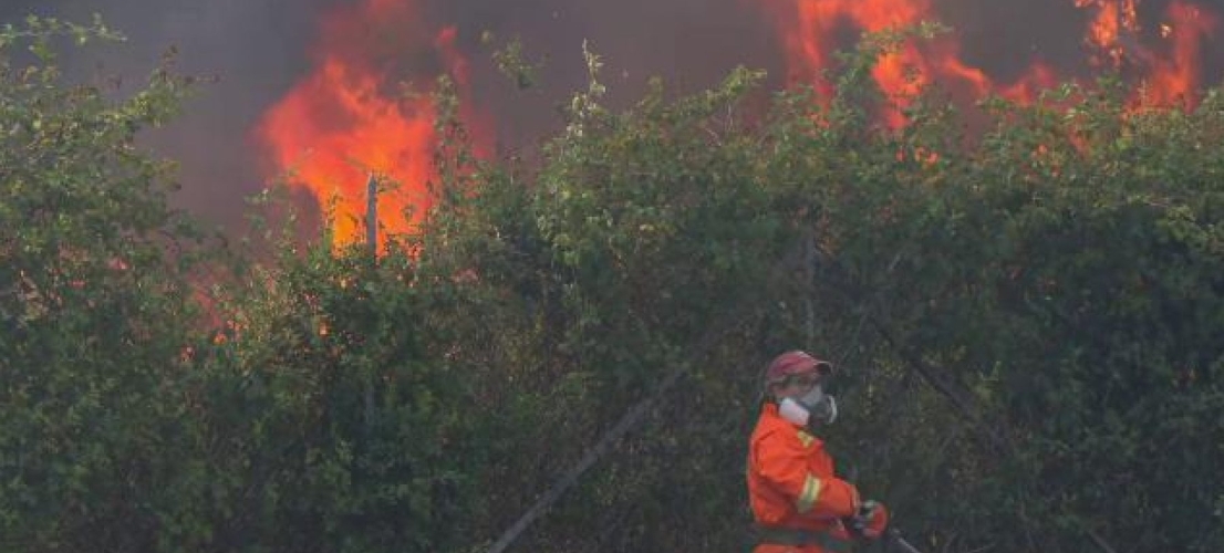 Incendio alla Tenuta dell’Acquafredda, dolore e preoccupazione per una riserva fragile e preziosa